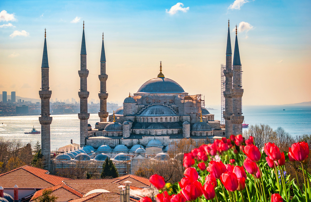 Discover Majestic Blue Mosque Istanbul