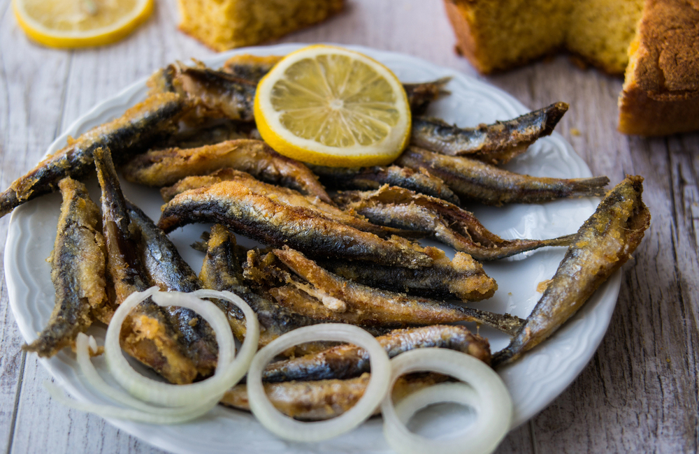Anchovy Fishing in Trabzon, Black Sea