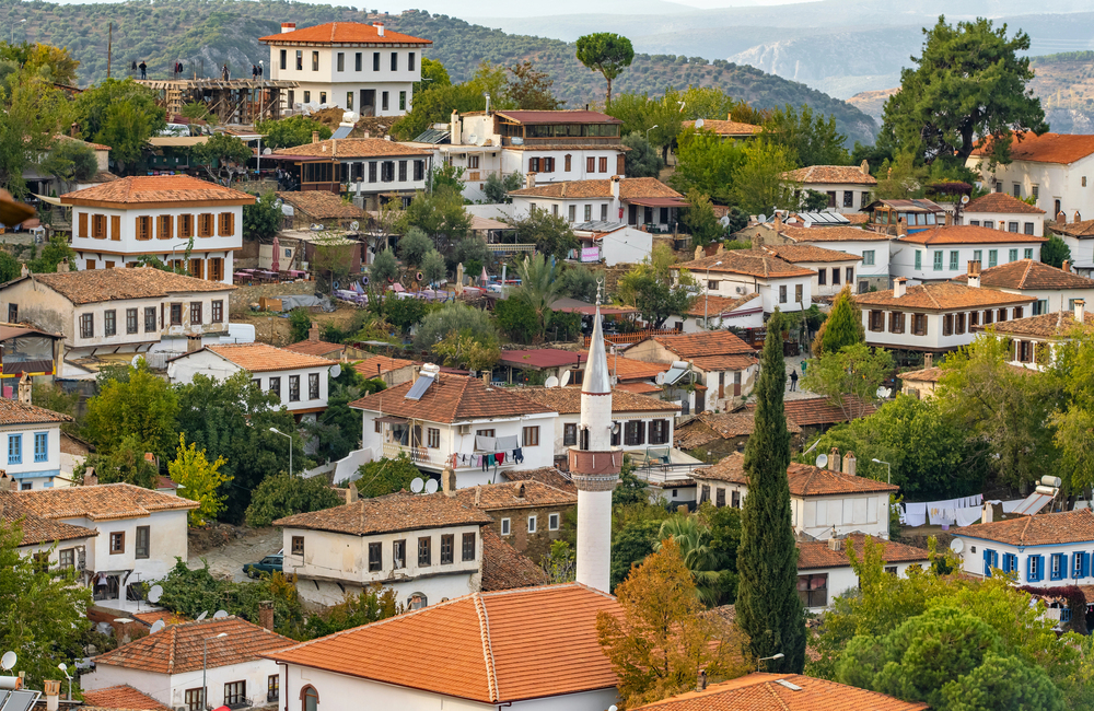 Cozy Aegean Homes in Ĺžirince