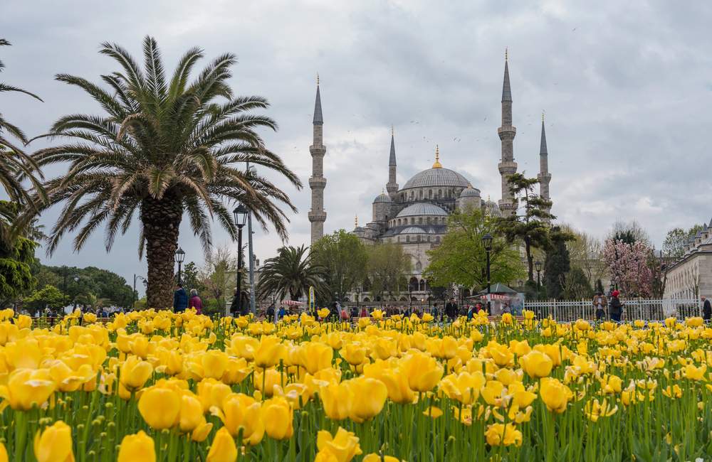 Stunning Exterior Sultanahmet Mosque